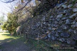 本丸石垣（西側） | 高解像度画像サイズ：8192 x 5464 pixels | 写真番号：6F1A6048 | 撮影：Canon EOS R5m2