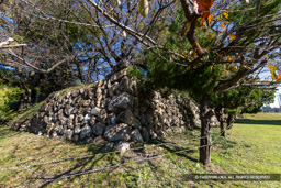 本丸石垣（西南隅） | 高解像度画像サイズ：8192 x 5464 pixels | 写真番号：6F1A6049 | 撮影：Canon EOS R5m2