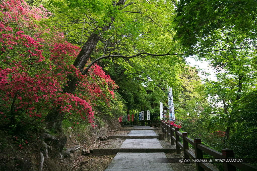 大手道