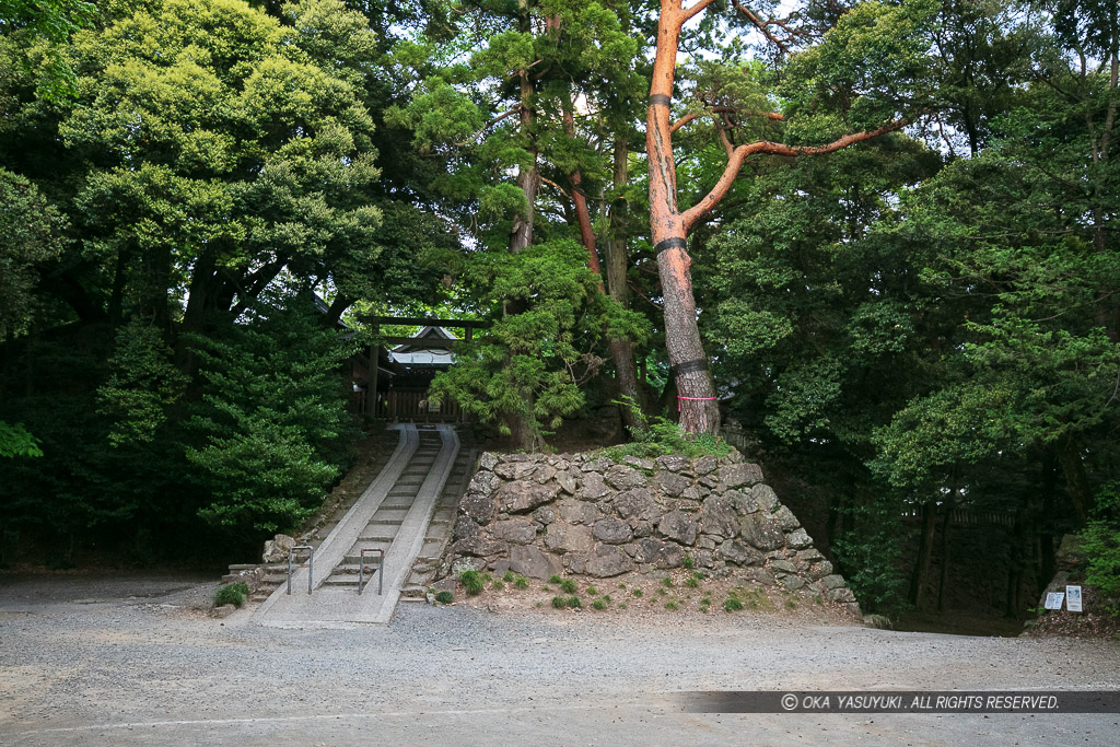 二の丸跡から本丸を望む