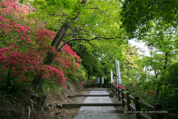 大手道｜高解像度画像サイズ：6480 x 4320 pixels｜写真番号：5DSA5965｜撮影：Canon EOS 5DS