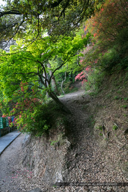 本丸帯曲輪への道｜高解像度画像サイズ：4320 x 6480 pixels｜写真番号：5DSA5972｜撮影：Canon EOS 5DS