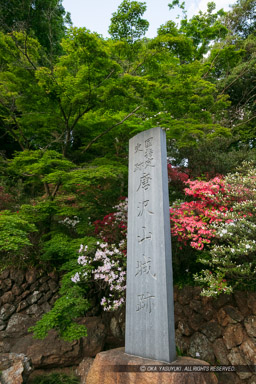 唐沢山城石碑｜高解像度画像サイズ：4320 x 6480 pixels｜写真番号：5DSA6050｜撮影：Canon EOS 5DS