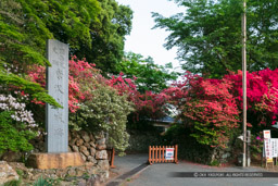 唐沢山城大手虎口跡｜高解像度画像サイズ：6217 x 4145 pixels｜写真番号：5DSA6055｜撮影：Canon EOS 5DS