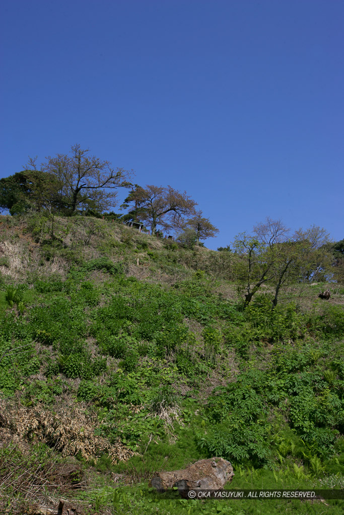 春日山城二の丸から本丸を望む