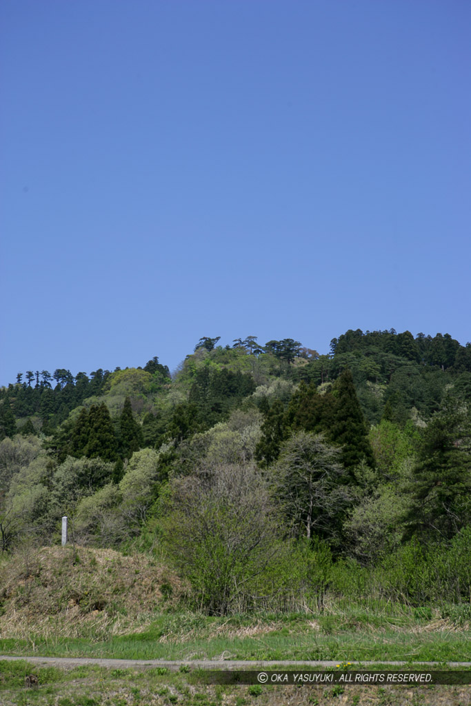 番所跡から春日山城を望む