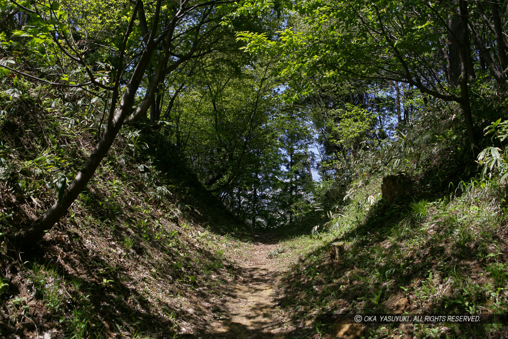 東城砦の薬研堀