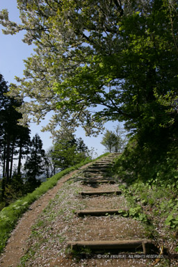 春日山城の登城路｜高解像度画像サイズ：3328 x 4992 pixels｜写真番号：VJ7Z4127｜撮影：Canon EOS-1Ds Mark II