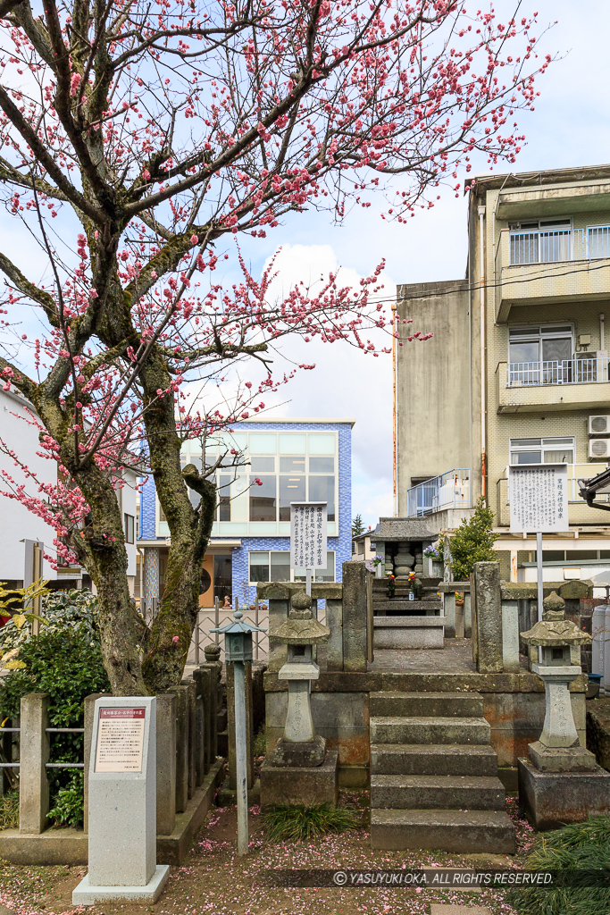 柴田勝家とお市の方の墓・西光寺