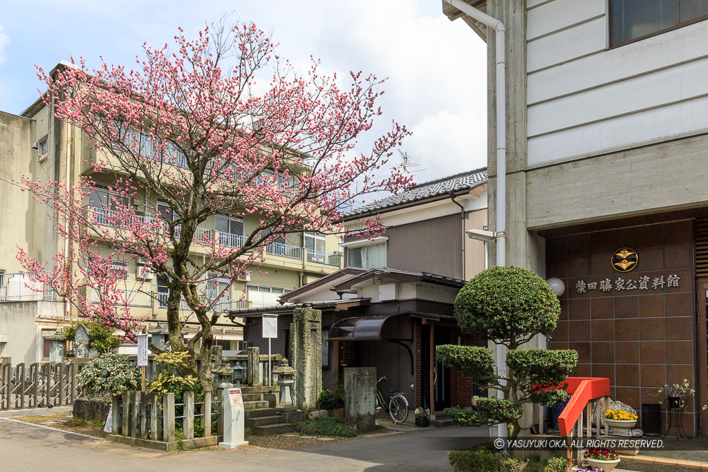 柴田勝家とお市の方の墓・柴田勝家公資料館・西光寺