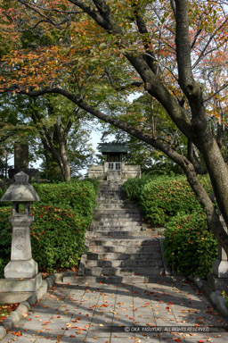 清洲古城本丸跡｜高解像度画像サイズ：3744 x 5616 pixels｜写真番号：1P3J4991｜撮影：Canon EOS-1Ds Mark III