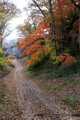 ｜高解像度画像サイズ：4480 x 6720 pixels｜写真番号：5D4A0893｜撮影：Canon EOS 5D Mark IV