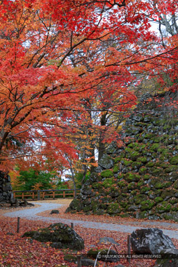 ｜高解像度画像サイズ：4480 x 6720 pixels｜写真番号：5D4A1003｜撮影：Canon EOS 5D Mark IV