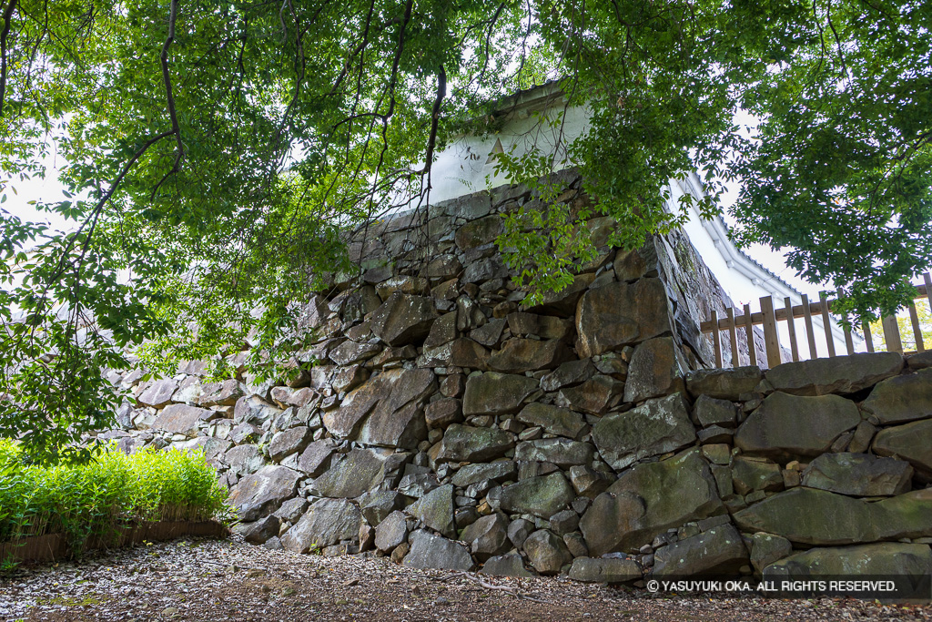 数寄屋曲輪石垣