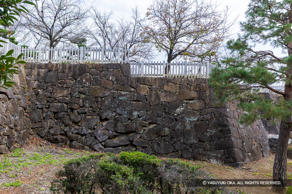 数寄屋曲輪石垣