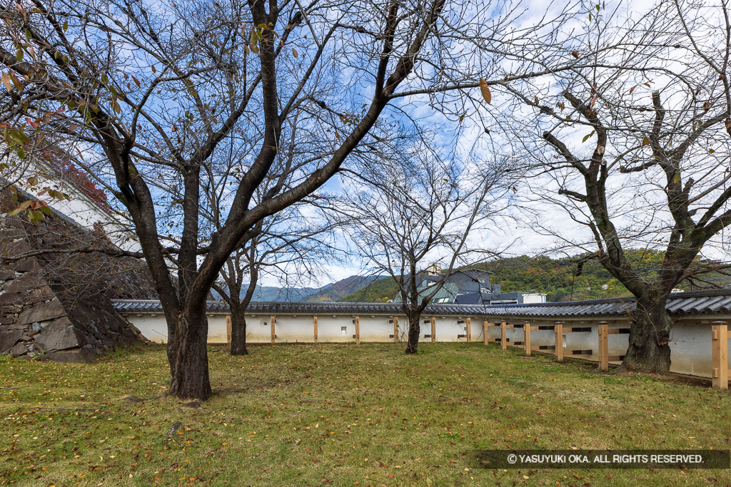 数寄屋曲輪土塀