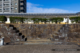 武者走り | 高解像度画像サイズ：8192 x 5464 pixels | 写真番号：6F1A4189 | 撮影：Canon EOS R5m2