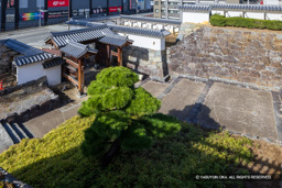 内松陰門から銅門跡への登城路 | 高解像度画像サイズ：7151 x 4769 pixels | 写真番号：6F1A4190 | 撮影：Canon EOS R5m2