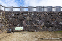 天守台地階（東面） | 高解像度画像サイズ：8192 x 5464 pixels | 写真番号：6F1A4229 | 撮影：Canon EOS R5m2