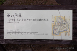 | 高解像度画像サイズ:6230 x 4156 pixels | 写真番号:6F1A4306 | 撮影:Canon EOS R5m2