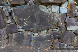 天守曲輪石垣の矢穴痕 | 高解像度画像サイズ：8192 x 5464 pixels | 写真番号：6F1A4315 | 撮影：Canon EOS R5m2