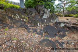 甲府城の石切場跡 | 高解像度画像サイズ:8192 x 5464 pixels | 写真番号:6F1A4333 | 撮影:Canon EOS R5m2