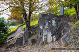 甲府城の石切場跡 | 高解像度画像サイズ:8192 x 5464 pixels | 写真番号:6F1A4336 | 撮影:Canon EOS R5m2