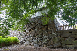 数寄屋曲輪石垣 | 高解像度画像サイズ:8192 x 5464 pixels | 写真番号:6F1A4337 | 撮影:Canon EOS R5m2