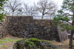 数寄屋曲輪石垣 | 高解像度画像サイズ:8192 x 5464 pixels | 写真番号:6F1A4338 | 撮影:Canon EOS R5m2