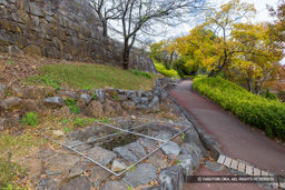 水溜跡 | 高解像度画像サイズ:8192 x 5464 pixels | 写真番号:6F1A4340 | 撮影:Canon EOS R5m2