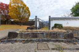 数寄屋搦手門跡 | 高解像度画像サイズ:8192 x 5464 pixels | 写真番号:6F1A4356 | 撮影:Canon EOS R5m2