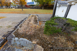 数寄屋搦手門跡 | 高解像度画像サイズ:8192 x 5464 pixels | 写真番号:6F1A4358 | 撮影:Canon EOS R5m2