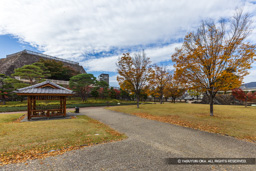 稲荷曲輪跡 | 高解像度画像サイズ:8192 x 5464 pixels | 写真番号:6F1A4361 | 撮影:Canon EOS R5m2