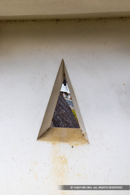 狭間 | 高解像度画像サイズ:5464 x 8192 pixels | 写真番号:6F1A4376 | 撮影:Canon EOS R5m2