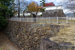 数寄屋曲輪石垣 | 高解像度画像サイズ:7524 x 5019 pixels | 写真番号:6F1A4377 | 撮影:Canon EOS R5m2