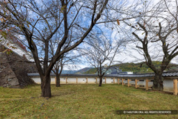 数寄屋曲輪土塀 | 高解像度画像サイズ:7742 x 5164 pixels | 写真番号:6F1A4382 | 撮影:Canon EOS R5m2