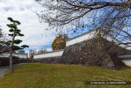 数寄屋搦手門跡 | 高解像度画像サイズ:7858 x 5241 pixels | 写真番号:6F1A4383 | 撮影:Canon EOS R5m2