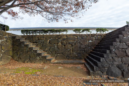 稲荷曲輪の内側塁壁・武者走り | 高解像度画像サイズ：8192 x 5464 pixels | 写真番号：6F1A4386 | 撮影：Canon EOS R5m2