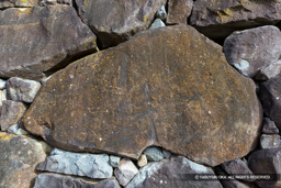 線刻画(刻印) | 高解像度画像サイズ:8192 x 5464 pixels | 写真番号:6F1A4402 | 撮影:Canon EOS R5m2