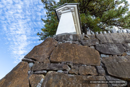 線刻画(刻印) | 高解像度画像サイズ:8192 x 5464 pixels | 写真番号:6F1A4415 | 撮影:Canon EOS R5m2