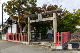 庄城稲荷 | 高解像度画像サイズ:8192 x 5464 pixels | 写真番号:6F1A4459 | 撮影:Canon EOS R5m2