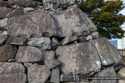 天守台南東隅の矢穴痕 | 高解像度画像サイズ：8192 x 5464 pixels | 写真番号：6F1A4524 | 撮影：Canon EOS R5m2