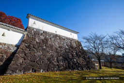 稲荷曲輪跡石垣 | 高解像度画像サイズ:8192 x 5464 pixels | 写真番号:6F1A4732 | 撮影:Canon EOS R5m2