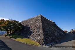 天守台北東隅 | 高解像度画像サイズ：8192 x 5464 pixels | 写真番号：6F1A4761 | 撮影：Canon EOS R5m2