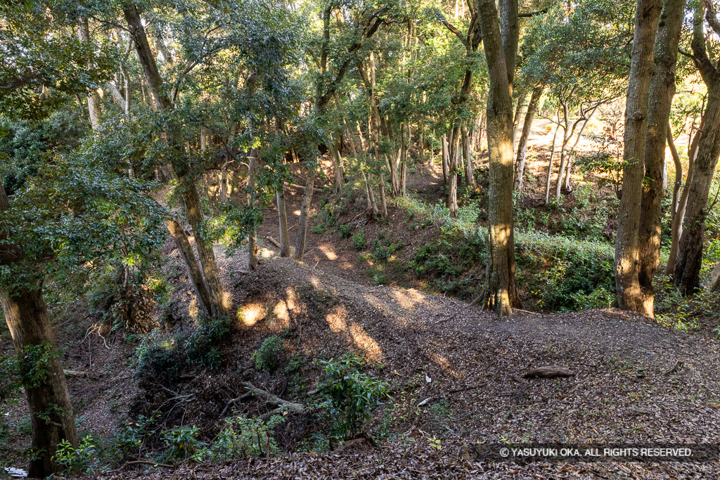 三重堀・小山城