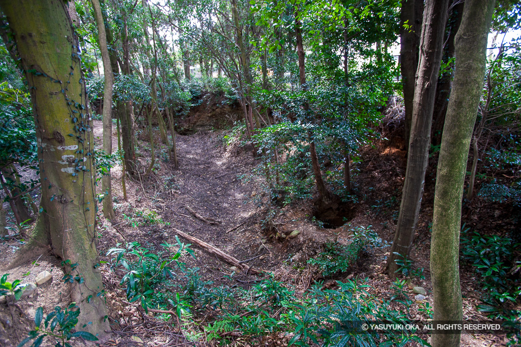 勘助井戸と三重掘