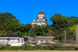 展望台小山城 | 高解像度画像サイズ：8192 x 5464 pixels | 写真番号：6F1A5443 | 撮影：Canon EOS R5m2