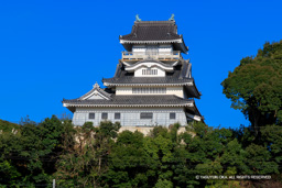 展望台小山城 | 高解像度画像サイズ：5931 x 3956 pixels | 写真番号：6F1A5444 | 撮影：Canon EOS R5m2