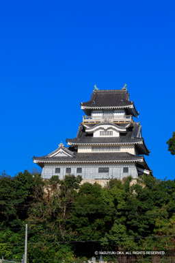 展望台小山城 | 高解像度画像サイズ：4475 x 6709 pixels | 写真番号：6F1A5445 | 撮影：Canon EOS R5m2