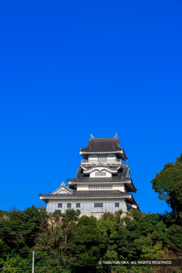 展望台小山城 | 高解像度画像サイズ：5464 x 8192 pixels | 写真番号：6F1A5446 | 撮影：Canon EOS R5m2